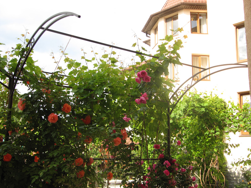 Наш розарий