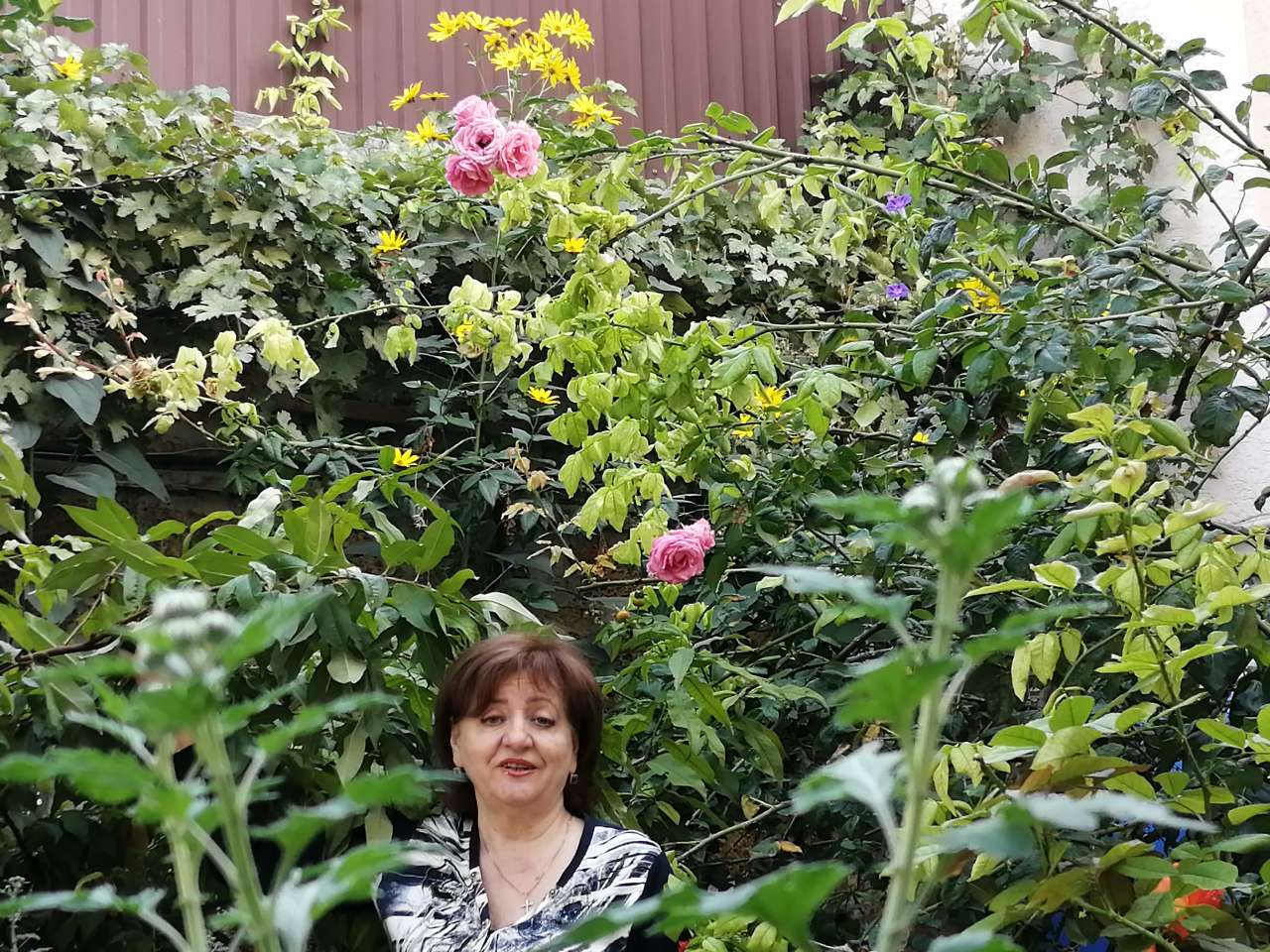 Усадьба глазами гостей